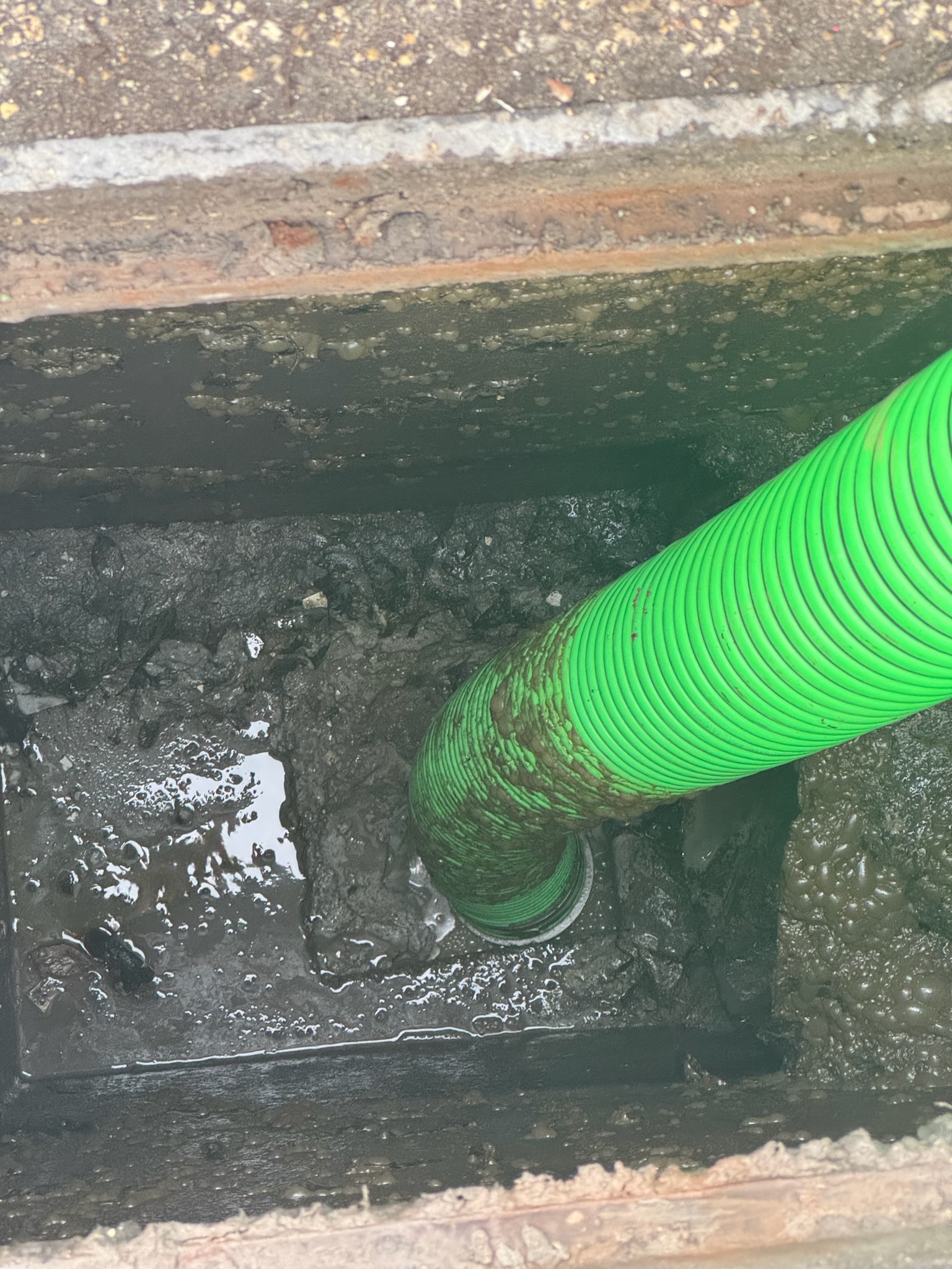 Technician pumping a residential septic tank in Miami with a vacuum truck hose.